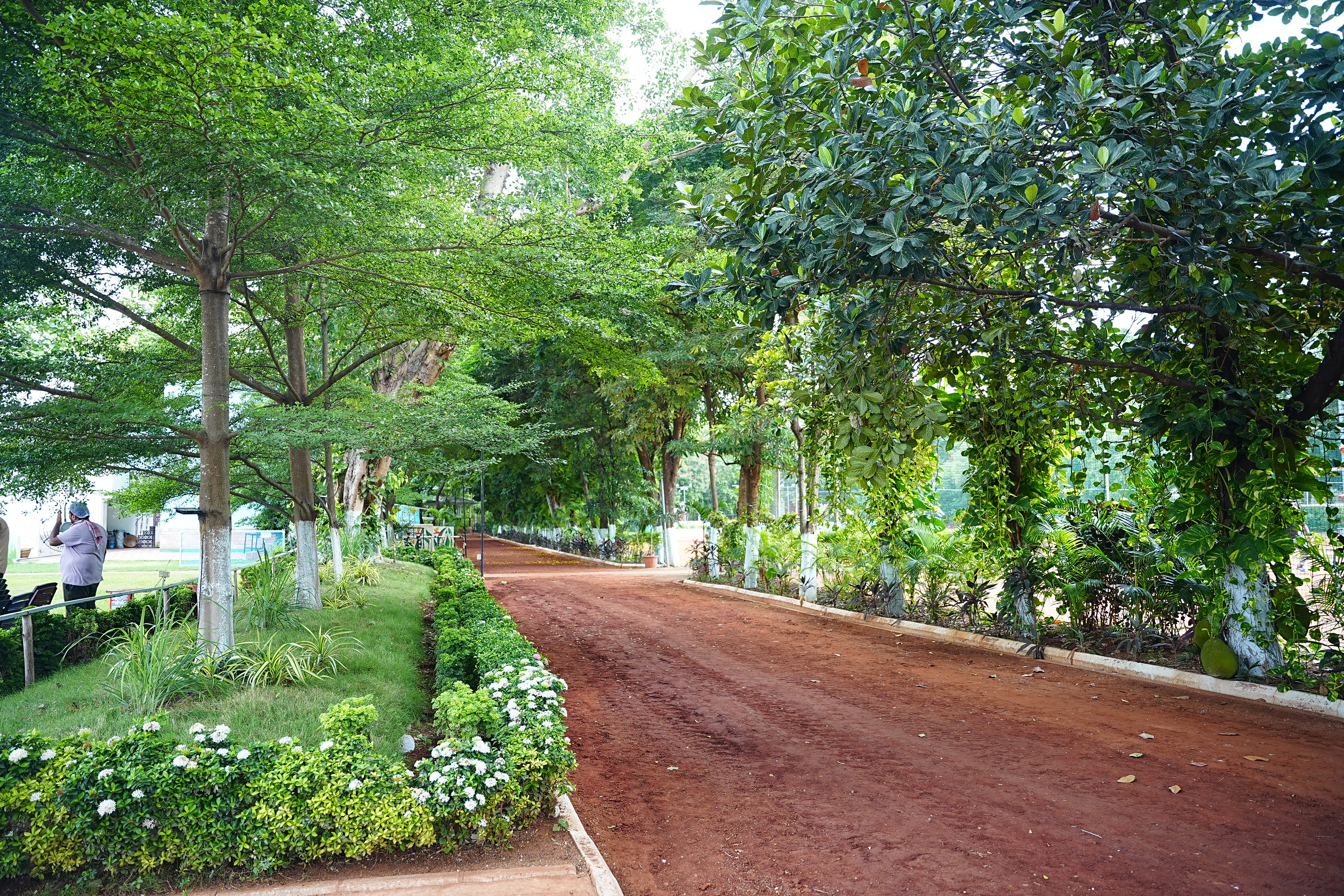 walking track